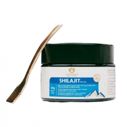 Shilajit Resina 30g