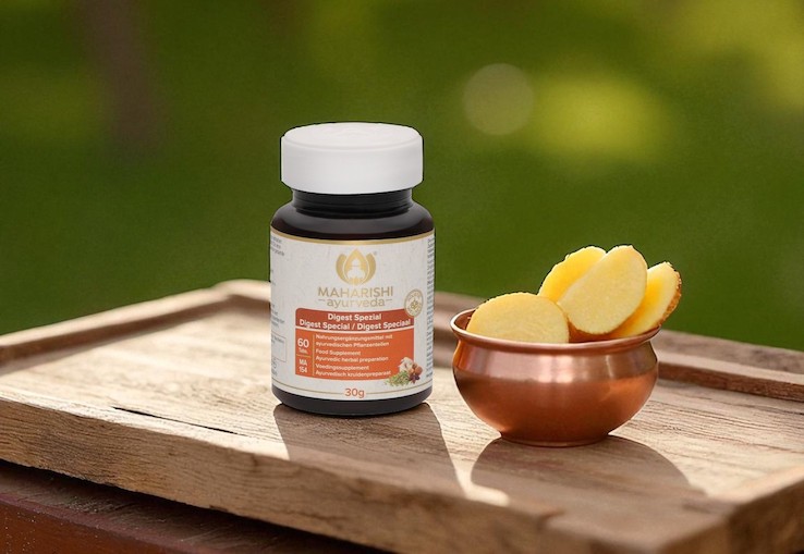 Suplemento Ayurv&eacute;dico Digest Special