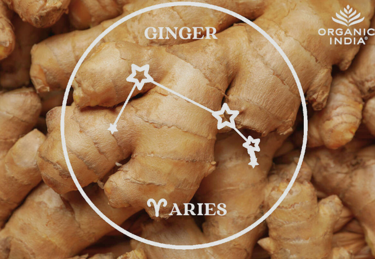 Ra&iacute;ces de Jengibre y Signo del Zodiaco Aries