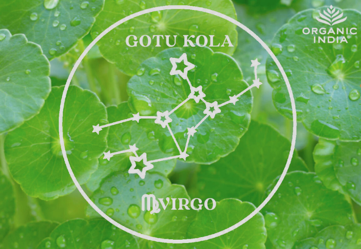 Hierba Ayurv&eacute;dica Gotu Kola y Signo del Zodiaco Virgo