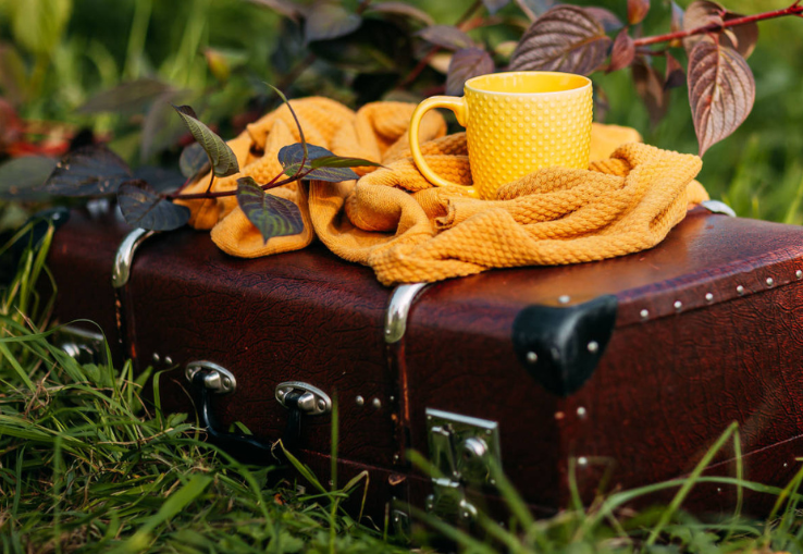 Maleta e infusi&oacute;n ayurv&eacute;dica