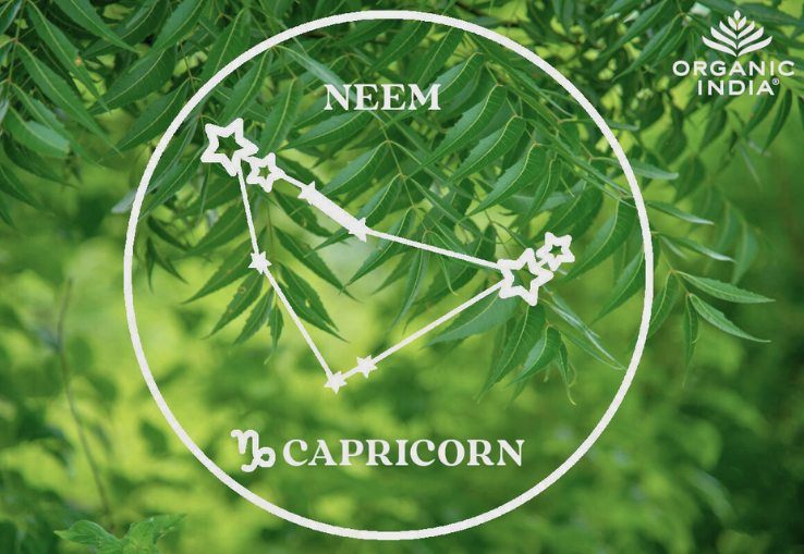 Hojas de planta Ayurveda Neem y Signo del Zodiaco Capricornio