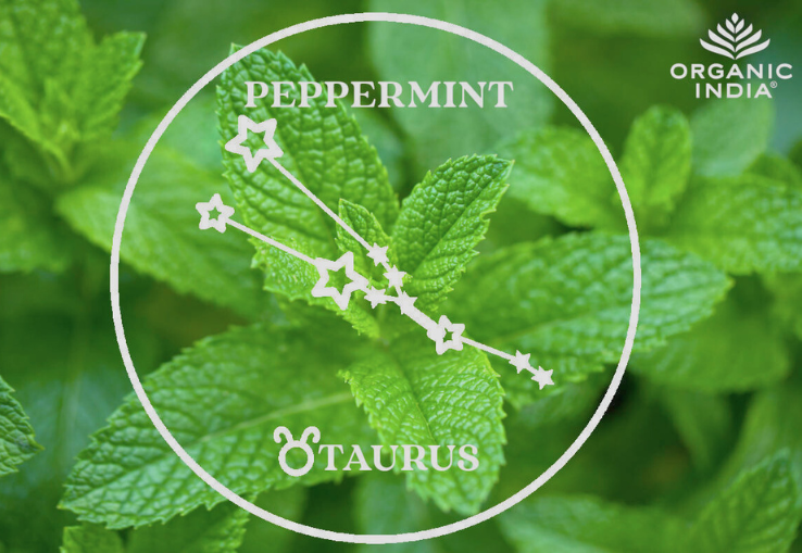 Hojas de Menta y Signo del Zodiaco Tauro
