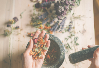 ¿Qué son las Hierbas Rasayanas? Usos y Beneficios